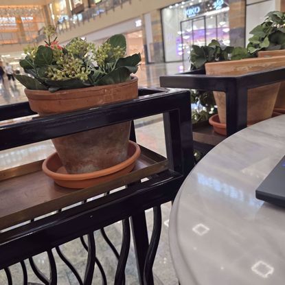 Picture of زرعه جميله جدا وممتازه