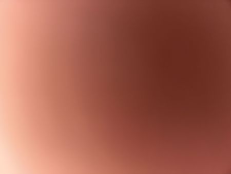 Picture for vendor zn